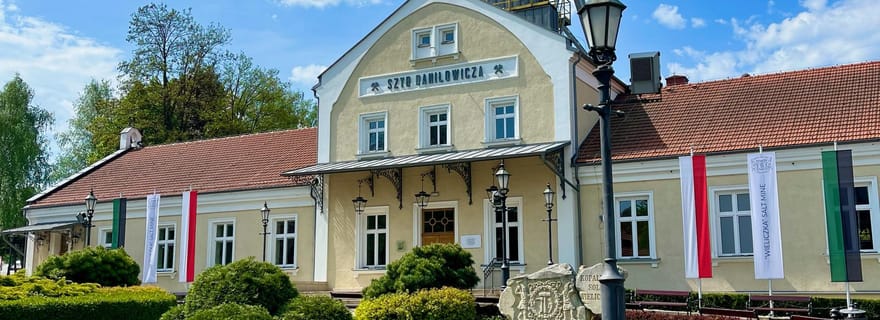 Depuis Cracovie : visite guidée de la mine de sel de Wieliczka avec billet d'entrée
