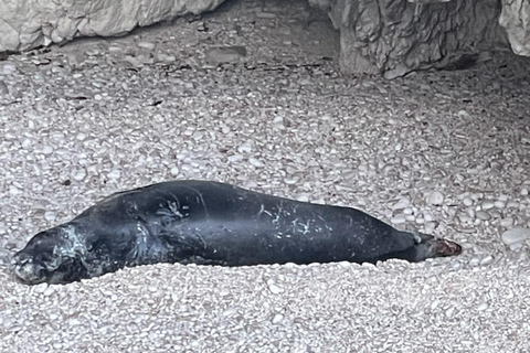 Zakynthos: Private Boat Cruise with Skipper or Self-Drive South with Captain:Turtles, Keri & Secret Caves