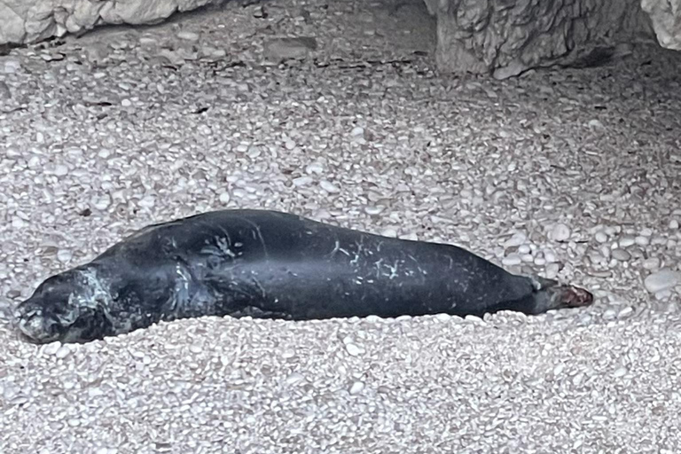 Zakynthos: Private Boat Cruise with Skipper or Self-Drive South with Captain:Turtles, Keri & Secret Caves