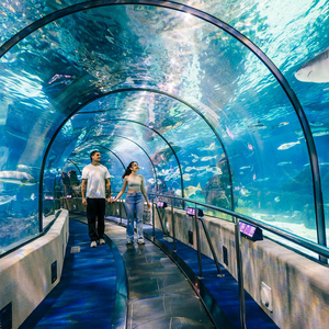 Barcelona: Hop-On Hop-Off Bus & Aquarium Tour