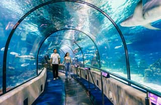 Barcelona: Hop-On/Hop-Off Bus & Aquarium-Tour