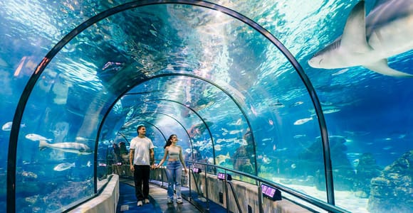 Barcelona: Hop-On Hop-Off Bus & Aquarium Tour