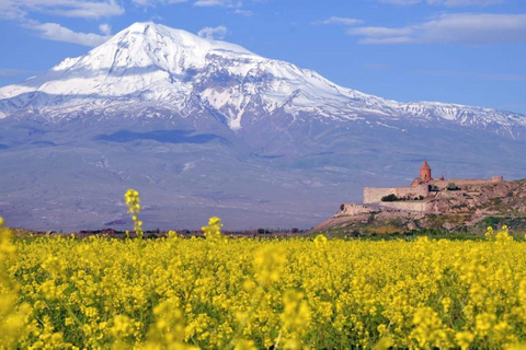 Tour privato alla grotta degli uccelli di Khor Virap Noravank per la degustazione del vino