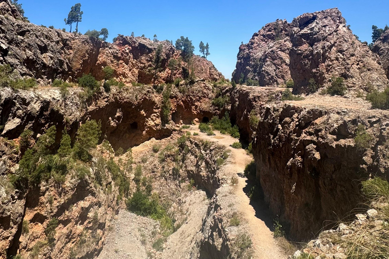 From Tunis: Jebel Ressas Guided Hike with Cave Exploration