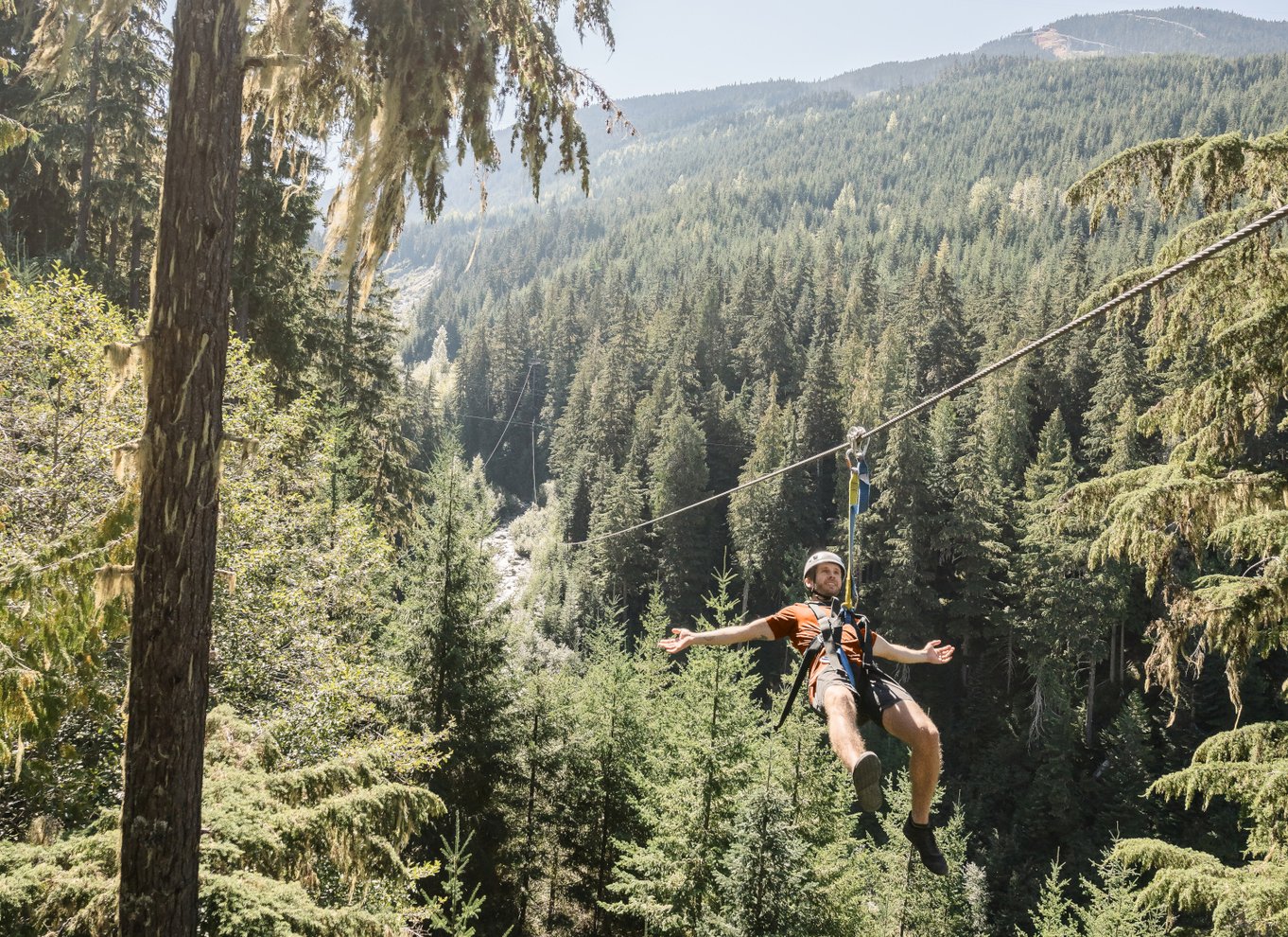 Whistler Zipline-oplevelse: Ziptrek bjørnetur