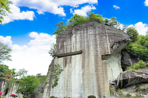 From Tokyo: Nikko World Heritage & Quarry Ruins Day Trip Private Chartered Car (Tickets included)