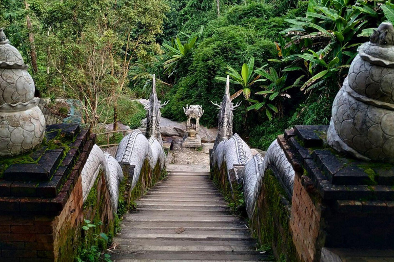 Visite du Doi Suthep et du temple Wat Pha Lat en soirée