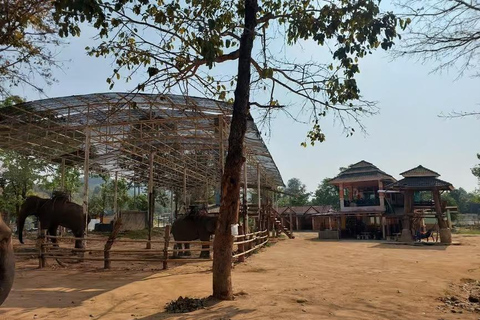 Chiang Rai Nature Escape Mae Kok River Trip and Hot Springs Chiang Rai Nature Escape by Private Van (Up to 8 Guests)