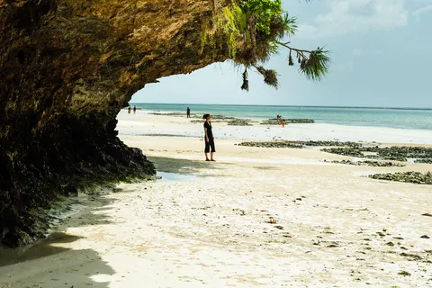 Zanzibar: Secret Beach, Kuza Cave og Jozani med transfer
