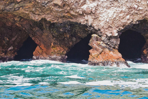 Desde Lima:Excursión de un día a las Islas Ballestas-Oasis de Huacachina