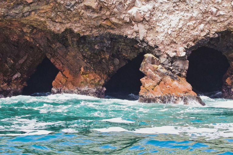 Desde Lima:Excursión de un día a las Islas Ballestas-Oasis de Huacachina