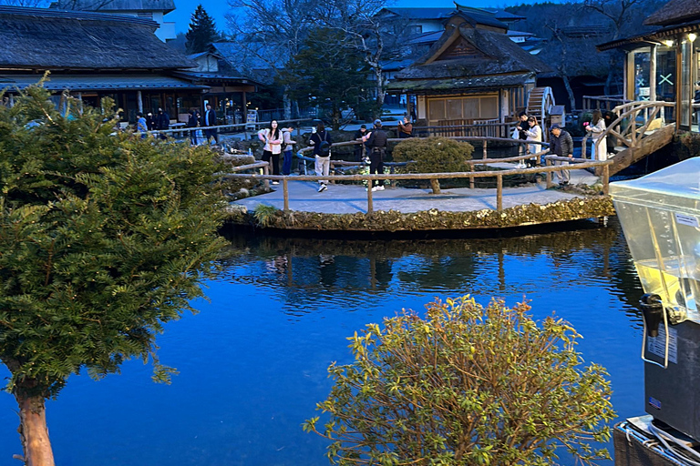 Mt Fuji Sightseeing Private tour with English Speaking Guide