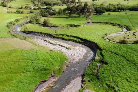 Z Cajamarca: Sanktuarium kurczaków