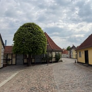Odense: Hans Christian Andersen Walking Tour