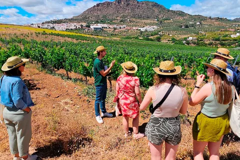 Málaga: Ruta del Pueblo Blanco, Viñedos y Cata de Vinos