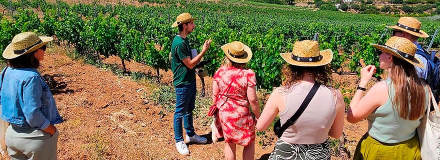 Malaga : Village blanc, vignoble et dégustation de vin
