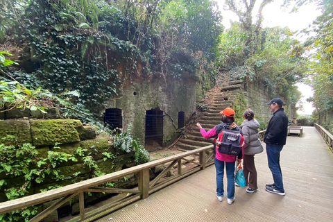 Yokosuka: Boat Trip to Natural Island and Naval Port Cruise