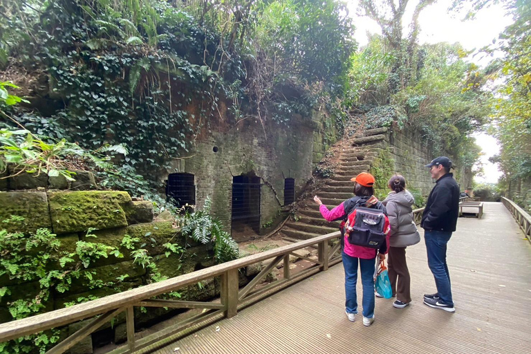 Yokosuka: Boat Trip to Natural Island and Naval Port Cruise