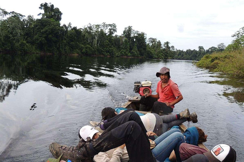 From Iquitos Amazonas 3 Days 2 Nights