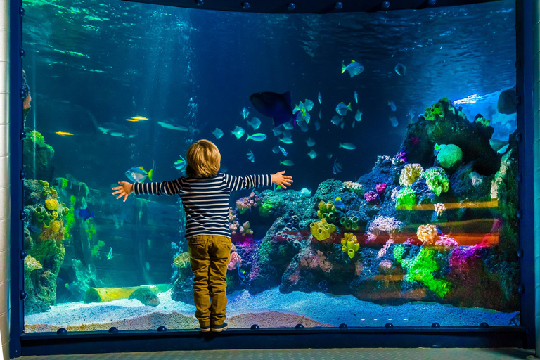 SEA LIFE Berlin TicketsTicket für den gleichen Tag