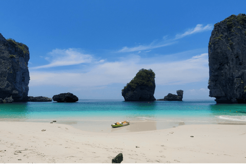 Phi Phi: Guided Jungle Trek & Night Swim with Plankton Trek with French-Speaking Guide