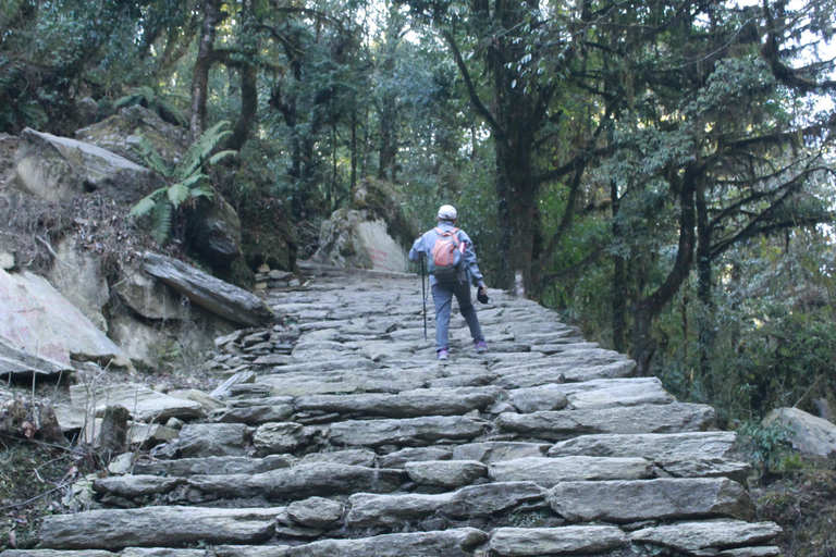 Découvrez la magie de Poon Hill : Un trek de 4 jours au départ de Pokhara