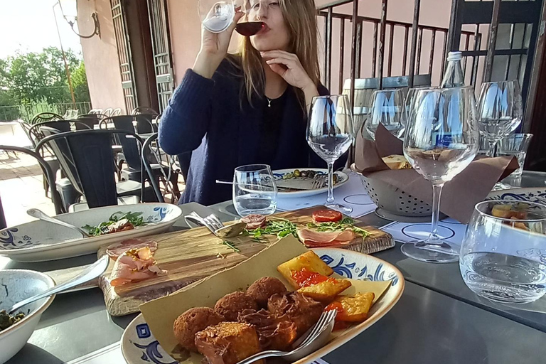 Viagem de 1 dia ao Etna saindo de Siracusa. Caminhada, vinho e comida incluídos