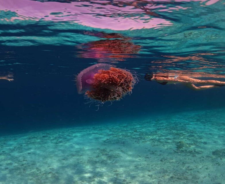 Gili Trawangan Swimming with Turtle & Underwater Statue GetYourGuide