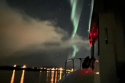 Leknes: 2-stündige private Abendrundfahrt auf den Lofoten im Winter