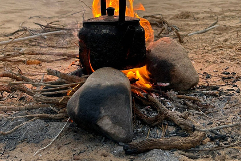 Heldagstur till Wadi Rum från Amman eller Döda havet