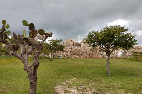 A NOT crowded tour to Cañada de la Virgen