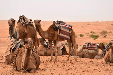 Ksar Ghilane & Tataouine: 4x4 and dromedary included Ksar Ghilane & Tataouine: 4x4 and dromedary Not included