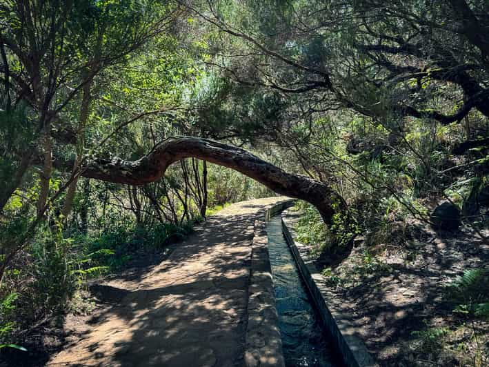 Madeira: Vale do Rabaçal e a Caminhada das 25 Fontes | GetYourGuide