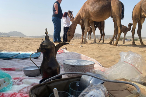 Jeddah or Mecca: Desert cooking class with a local dinner