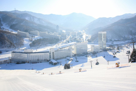 Naeba Express Bus - from/to Narita Airport and Tokyo Station Narita Airport to Naeba Prince Hotel