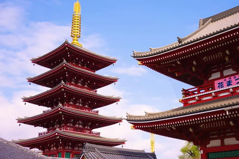 Tokyo Private Tour with English speaking driver Minivan (1-6)