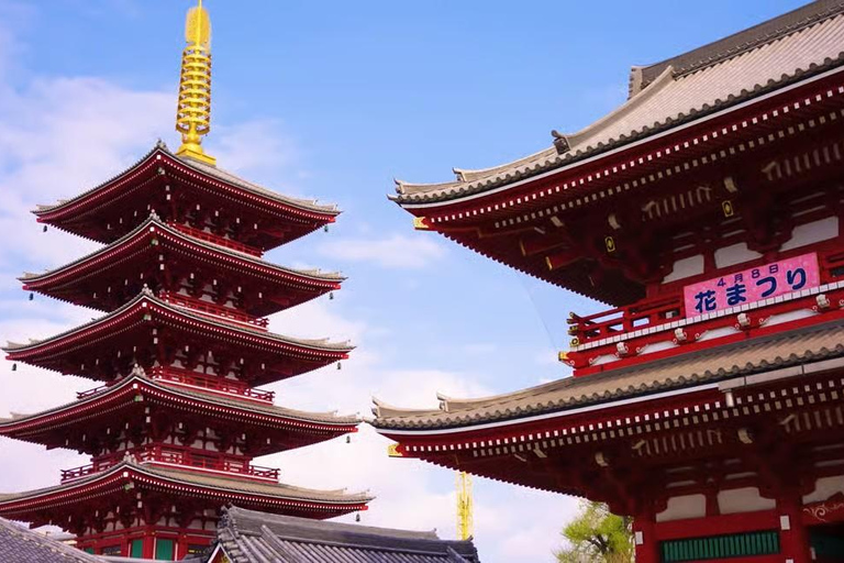 Tokyo Private Tour with English speaking driver Minivan (1-6)
