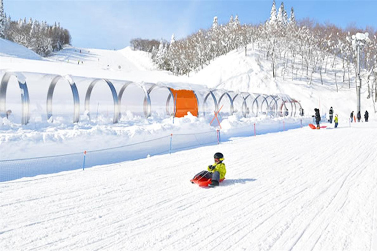 From Tokyo: Mt. Fuji Skiing And Onsen Experience 1-Day Tour Package B:Entry fee+ Ski Lift + Skis + Ski Poles + Ski Boots