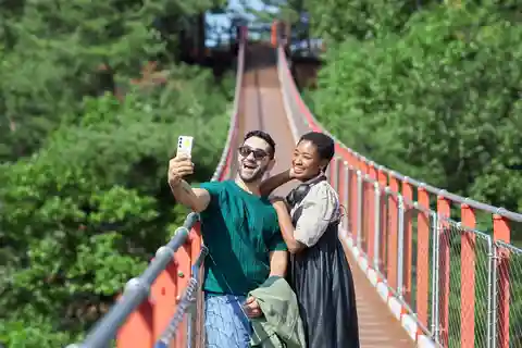 Séoul : Visite de la DMZ avec pont suspendu et télécabine en option