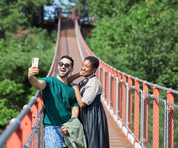Seoul: DMZ Tour with Optional Suspension Bridge and Gondola