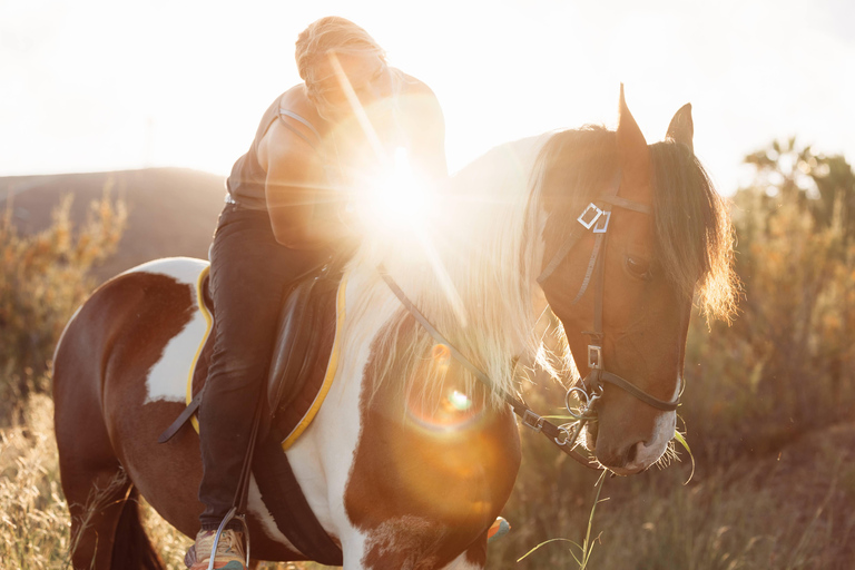 Isla de Porto Santo: Paseos a caballo180 min Aventura