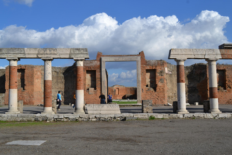 Excursion sur la côte de Pompéi et d'Herculanum avec un archéologue