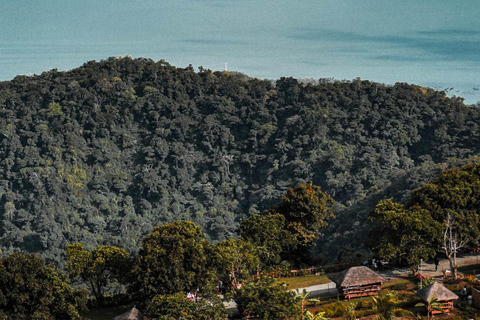 Private Tour Taipei Thousand Island Lake Tea Plantation