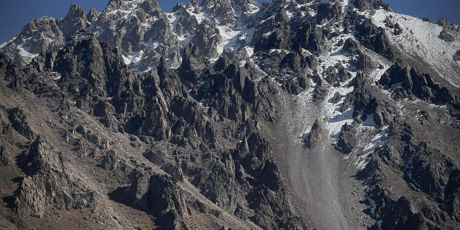 section