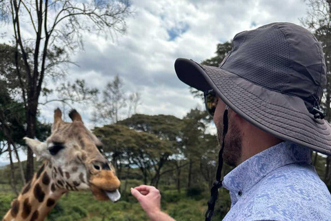Nairobi :Karen Blixen Museum & Giraffe Centre Day Tour