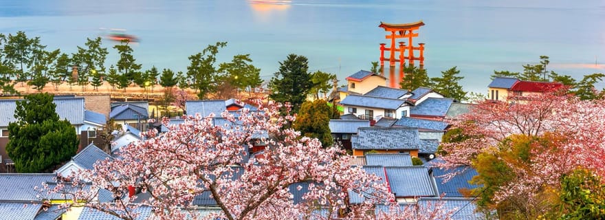 Hiroshima : visite guidée de l'île de Miyajima, site UNESCO