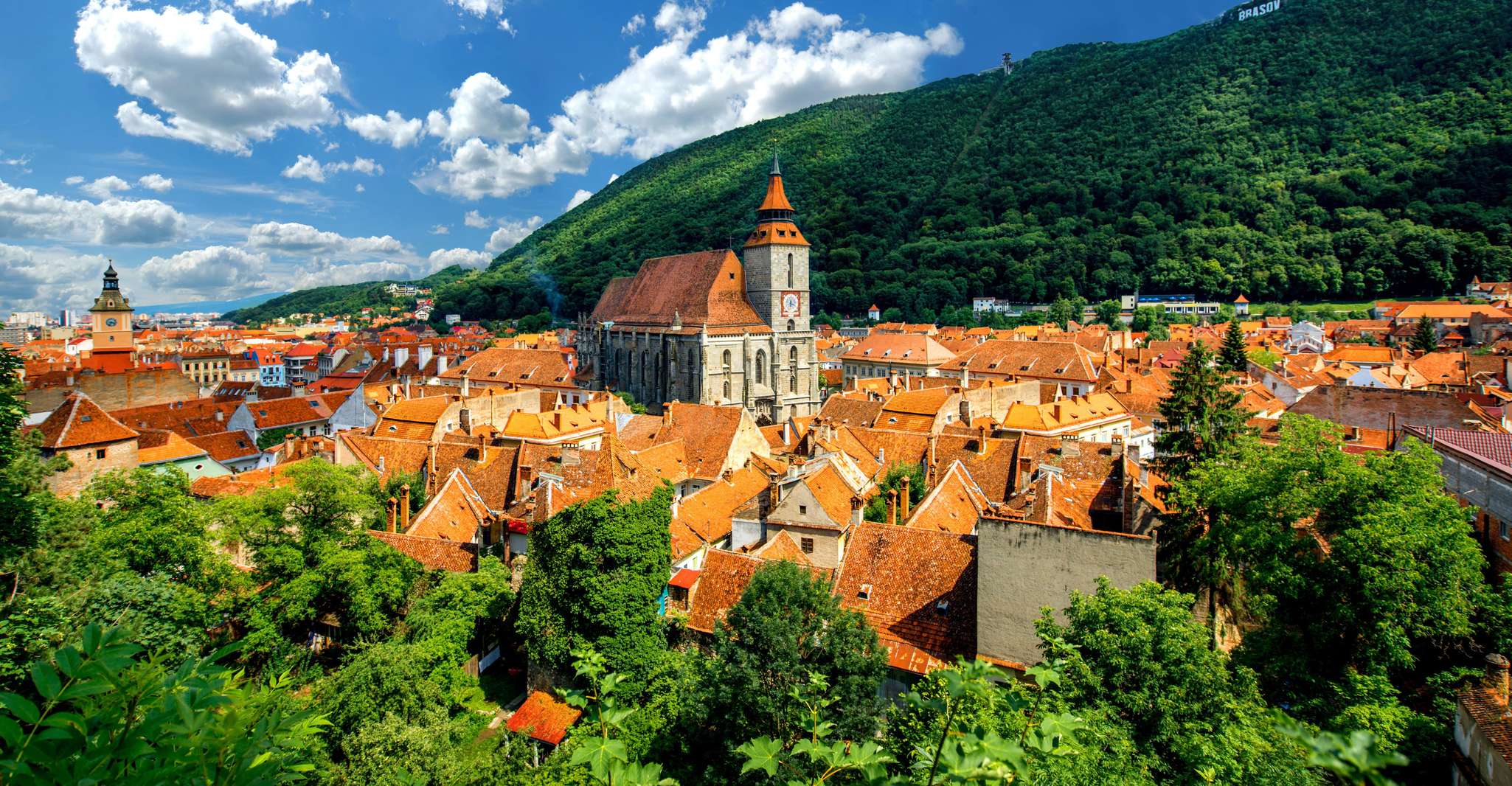 From Bucharest, Peles Castle, Brasov & Bran Castle Day Trip - Housity