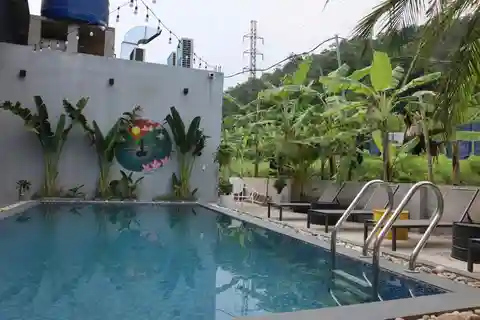 Ninh Binh -Ha Giang:3D Motorbike Tour to Dong Van & Yen Minh
