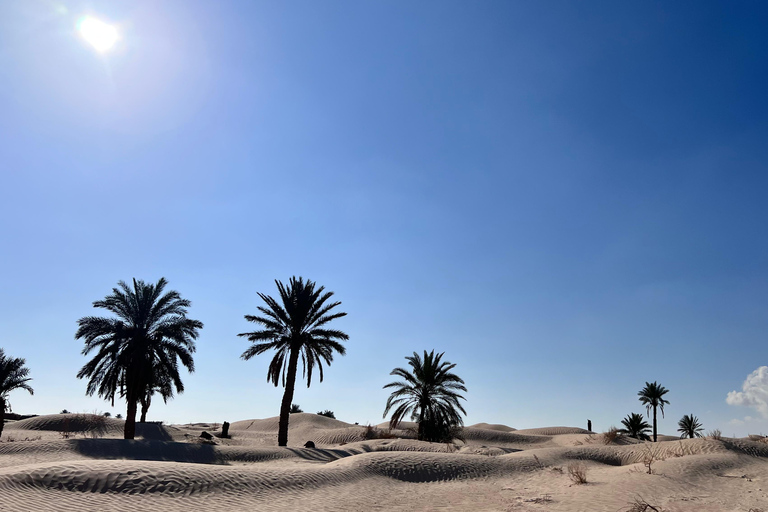 Two-Day Sahara Bivouac Adventure from Djerba