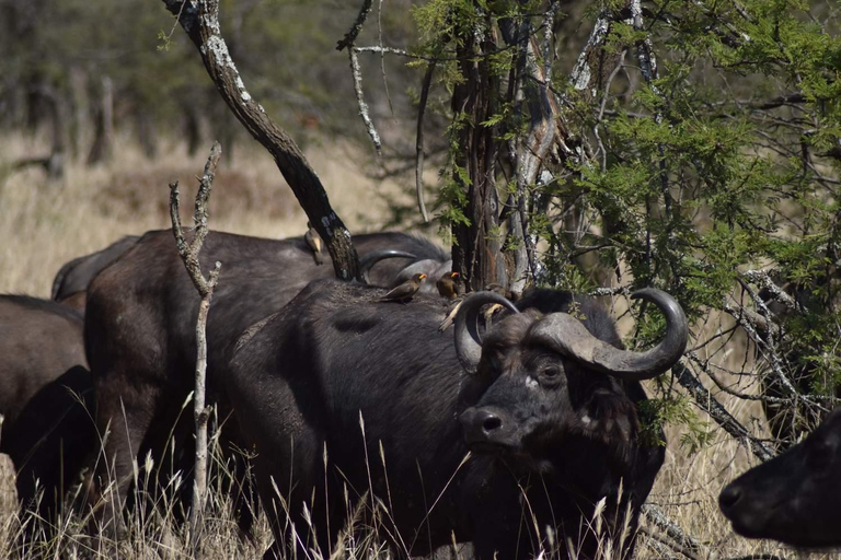 Arusha: Arusha national Park Day-Trip